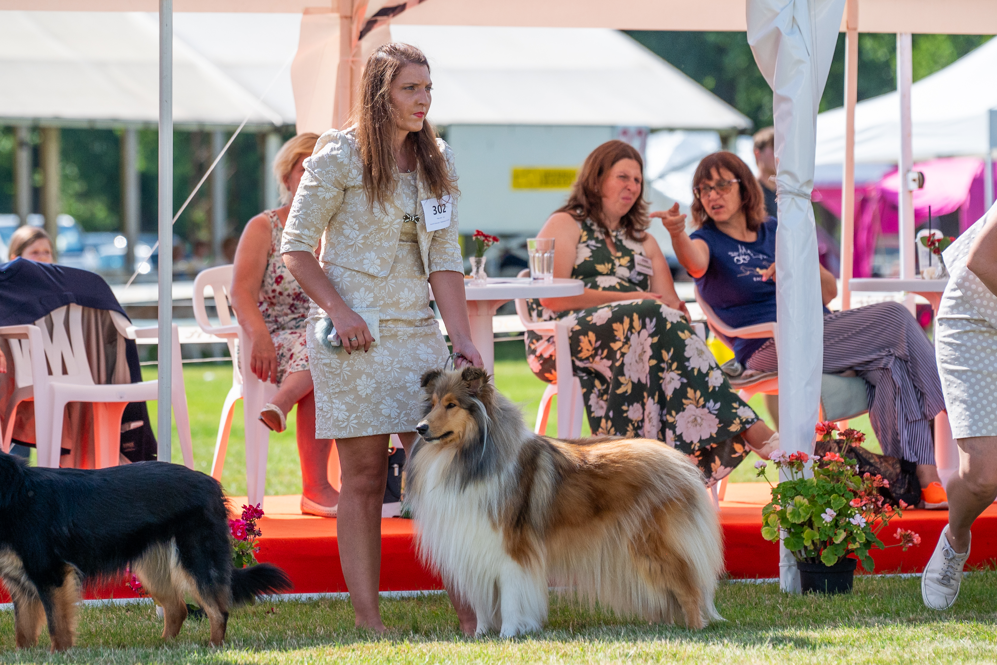 Daisy Gold z Hradešína